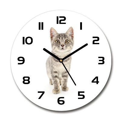 Wanduhr glas rund Graue Katze