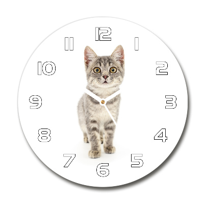 Wanduhr glas rund Graue Katze