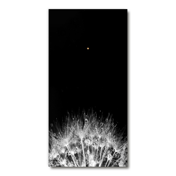 Moderne wanduhr Löwenzahnsamen