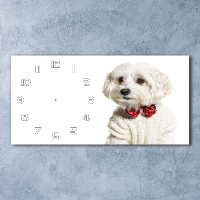 Glasuhr Malteser mit Fliege