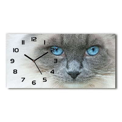 Horizontale Uhr blauäugige Katze