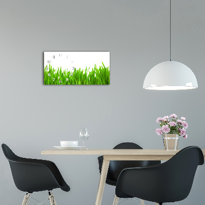 Moderne wanduhr Gras