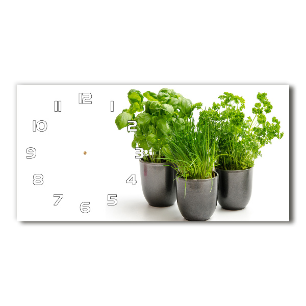 Moderne wanduhr Kräuter in Töpfen