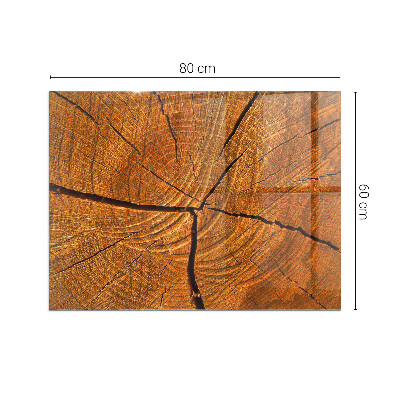 Rechteckige Glasplatte für Kaminofen Holz im Querschnitt mit natürlicher Maserung