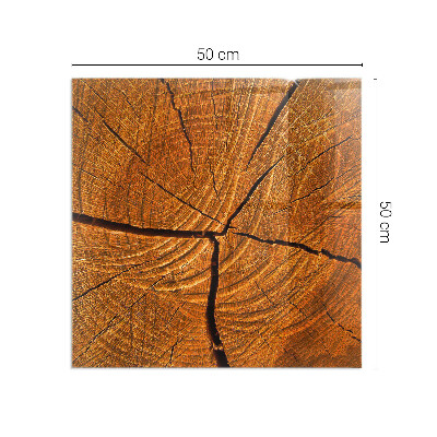 Rechteckige Glasplatte für Kaminofen Holz im Querschnitt mit natürlicher Maserung