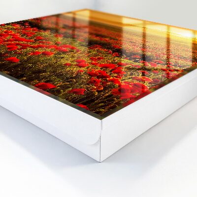 Schlüsselbox für die Wand mit Motiv Mohnfelder