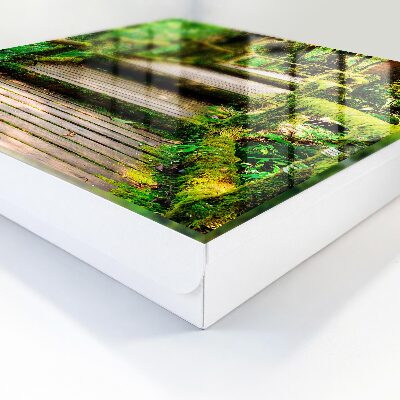 Schlüsselbox für die Wandmontage Ausführung Waldbrücke