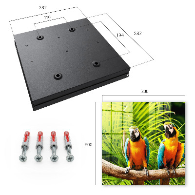 Schlüsselkasten mit Motiv Tropische Vögel