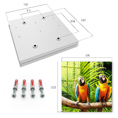 Schlüsselkasten mit Motiv Tropische Vögel