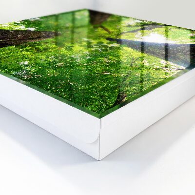 Schlüsselkasten mit Waldhimmel Motiv