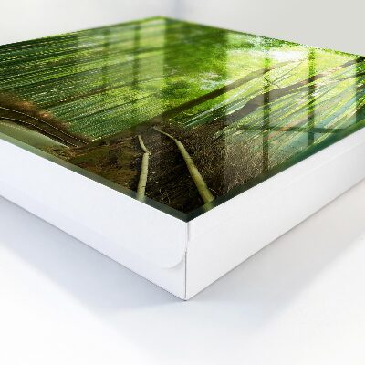 Schlüsselbox zur Wandmontage aus Bambus