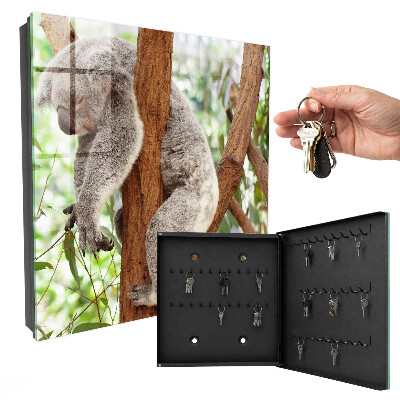 Schlüsselbox für die Wand mit Koala-Design