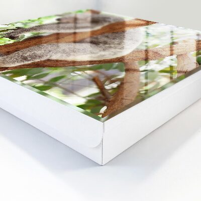 Schlüsselbox für die Wand mit Koala-Design