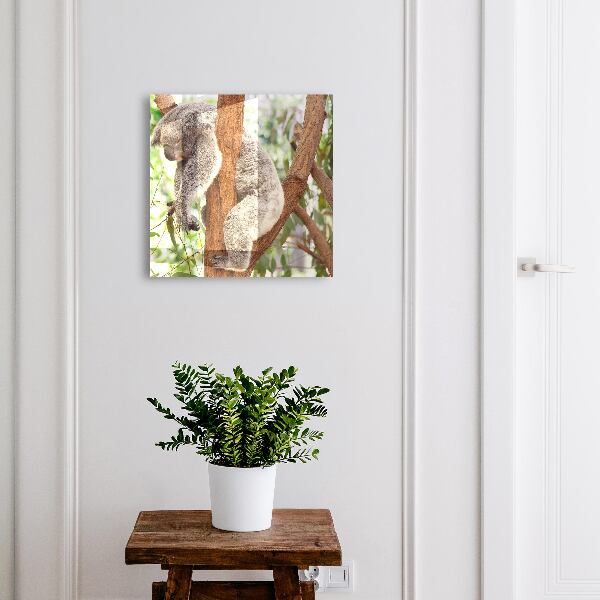 Schlüsselbox für die Wand mit Koala-Design