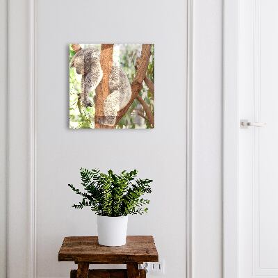 Schlüsselbox für die Wand mit Koala-Design
