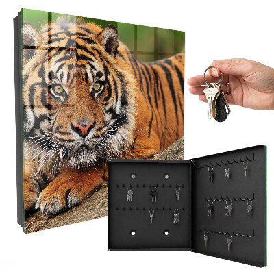 Schlüsselbox mit dem Motiv Der Tiger ruht