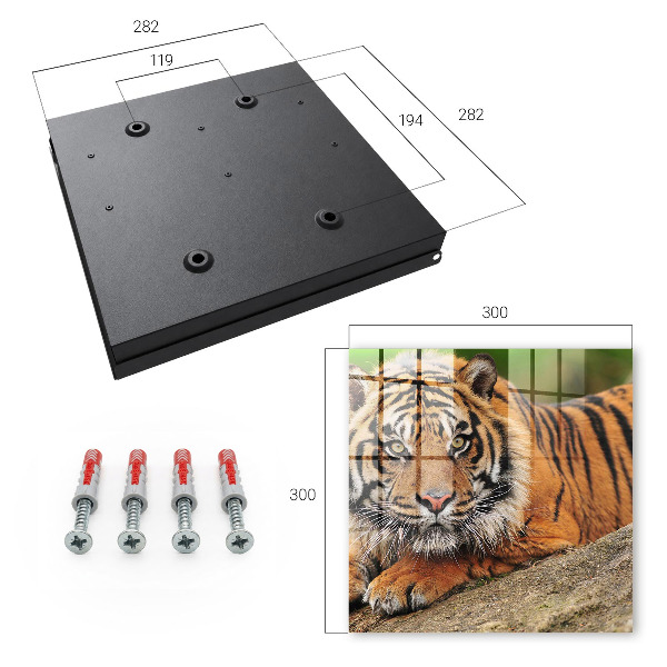 Schlüsselbox mit dem Motiv Der Tiger ruht