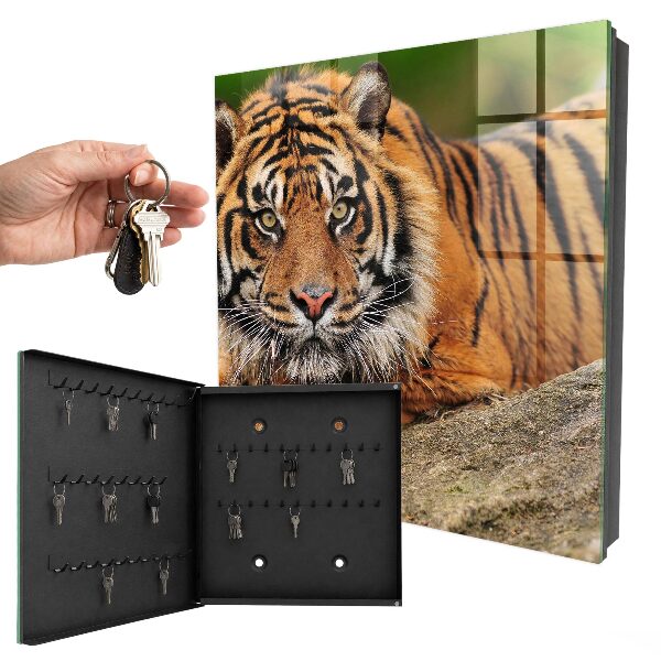 Schlüsselbox mit dem Motiv Der Tiger ruht