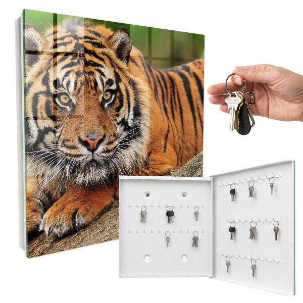 Schlüsselbox mit dem Motiv Der Tiger ruht
