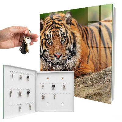 Schlüsselbox mit dem Motiv Der Tiger ruht