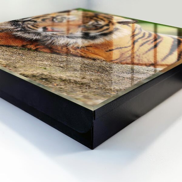 Schlüsselbox mit dem Motiv Der Tiger ruht