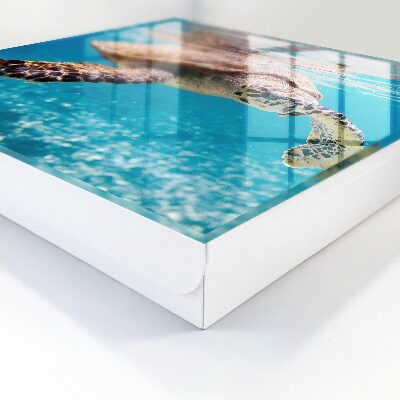 Schlüsselkasten mit Motiv Unterwasserwelt