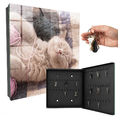 Schlüsselbox zur Wandmontage mit Motiv schlafendes Kätzchen