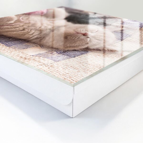 Schlüsselbox zur Wandmontage mit Motiv schlafendes Kätzchen