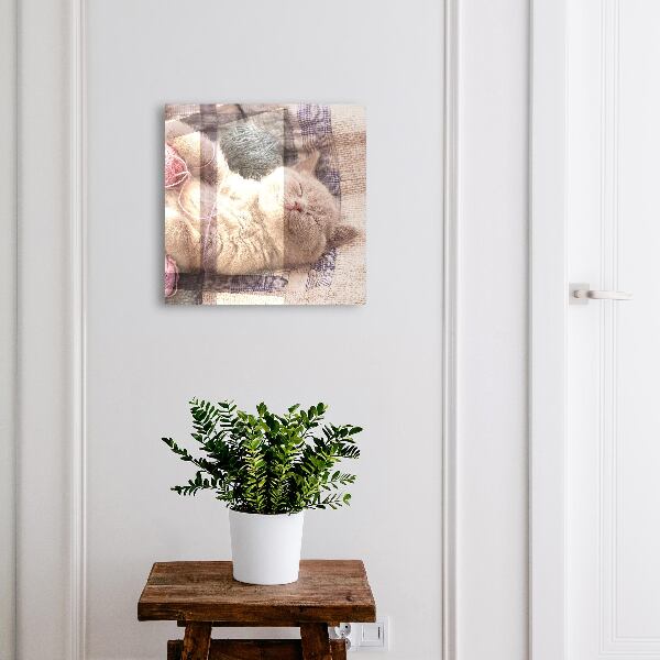 Schlüsselbox zur Wandmontage mit Motiv schlafendes Kätzchen