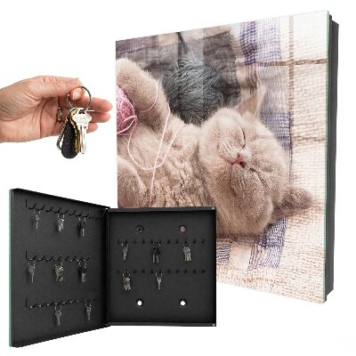 Schlüsselbox zur Wandmontage mit Motiv schlafendes Kätzchen