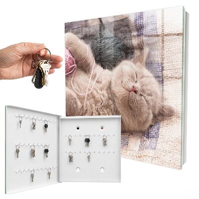 Schlüsselbox zur Wandmontage mit Motiv schlafendes Kätzchen