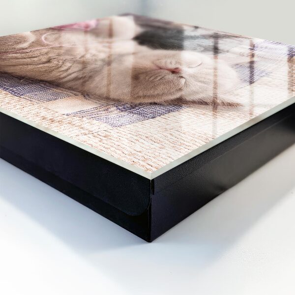 Schlüsselbox zur Wandmontage mit Motiv schlafendes Kätzchen