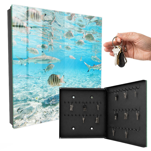 Schlüsselbox für die Wand von Wasserleben