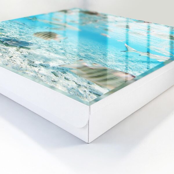 Schlüsselbox für die Wand von Wasserleben