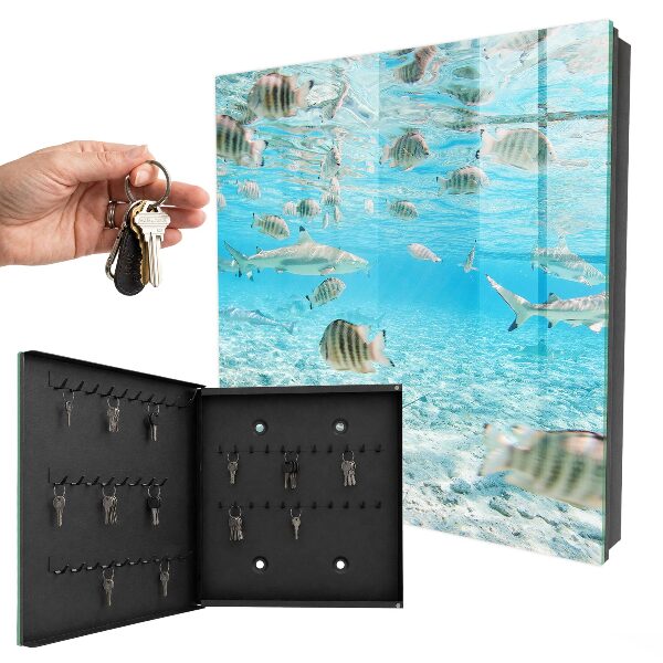 Schlüsselbox für die Wand von Wasserleben