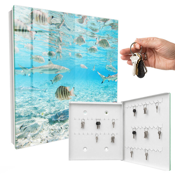 Schlüsselbox für die Wand von Wasserleben