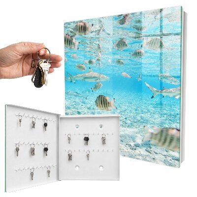 Schlüsselbox für die Wand von Wasserleben