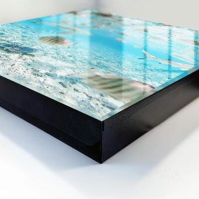Schlüsselbox für die Wand von Wasserleben