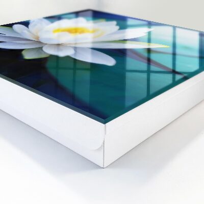 Schlüsselbox Modell Seerose