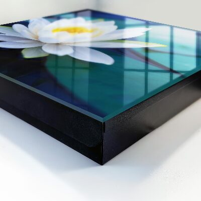 Schlüsselbox Modell Seerose