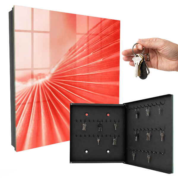 Schlüsselkasten mit dem Design Die Energie der Farbe
