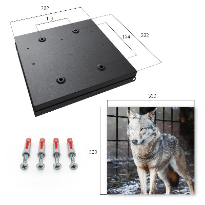 Schlüsselkasten mit Motiv Wolf im Wald