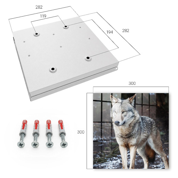 Schlüsselkasten mit Motiv Wolf im Wald