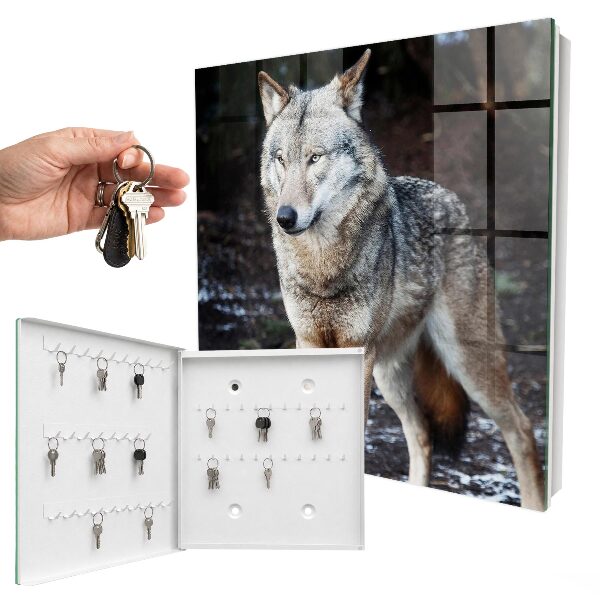 Schlüsselkasten mit Motiv Wolf im Wald