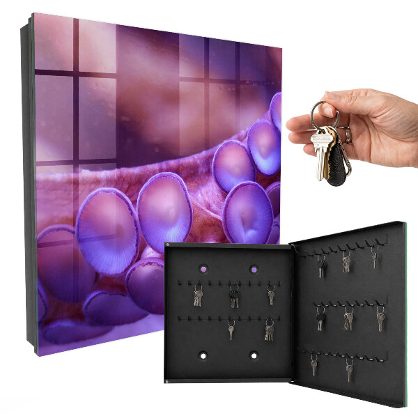 Schlüsselbox für die Wand Motiv Unterwasserharmonie