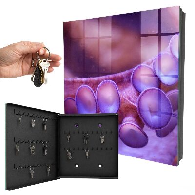 Schlüsselbox für die Wand Motiv Unterwasserharmonie