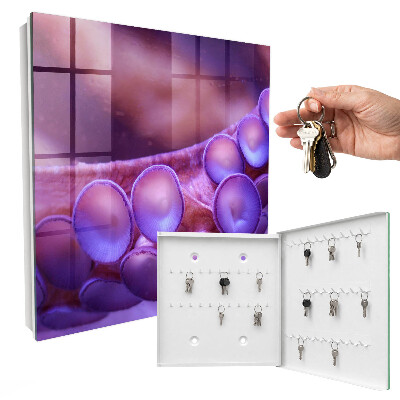 Schlüsselbox für die Wand Motiv Unterwasserharmonie
