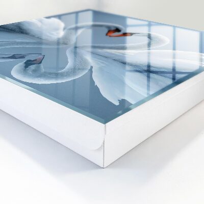 Schlüsselbox im Design Schwanenliebe