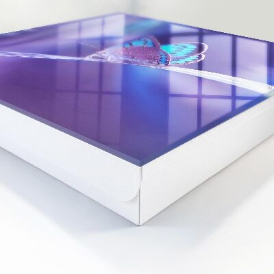 Schlüsselbox mit buntem Schmetterlingsmotiv