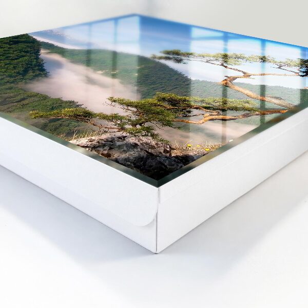 Schlüsselbox für die Wand mit Motiv Berglandschaft